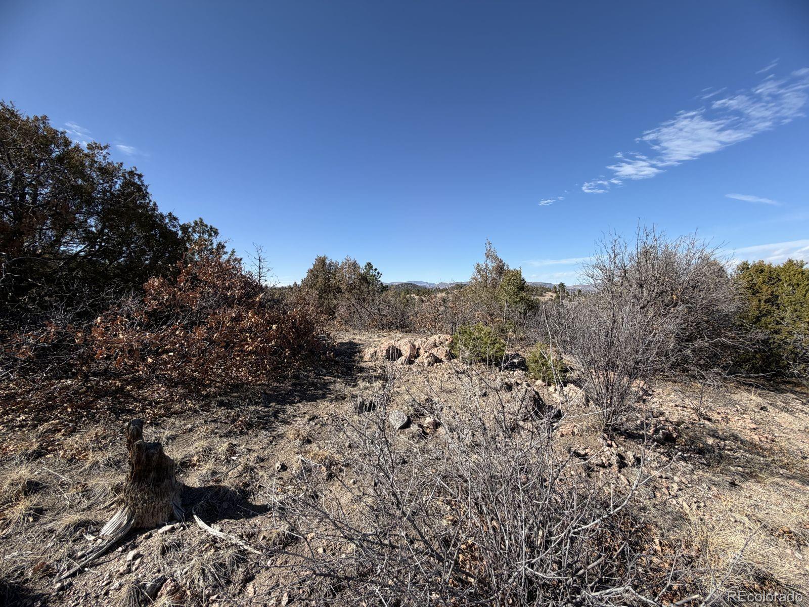 3412 Indian Wells Road Cotopaxi CO 81223