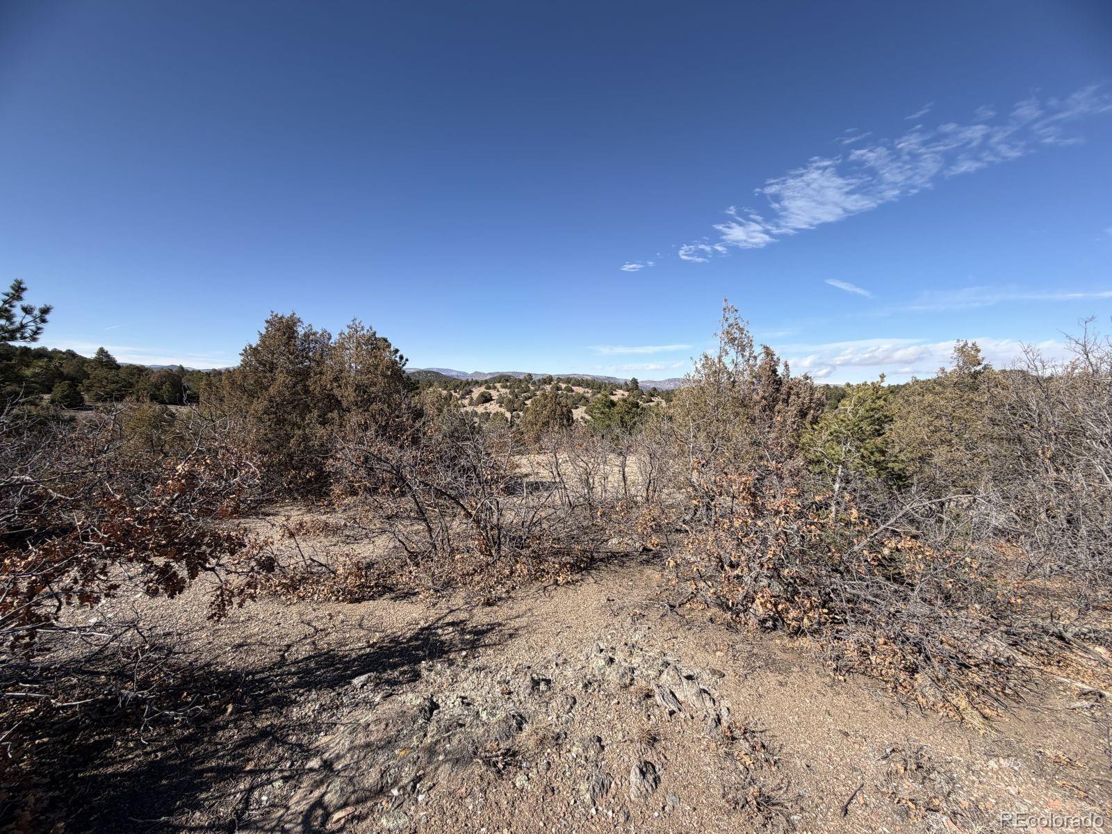 3412 Indian Wells Road Cotopaxi CO 81223