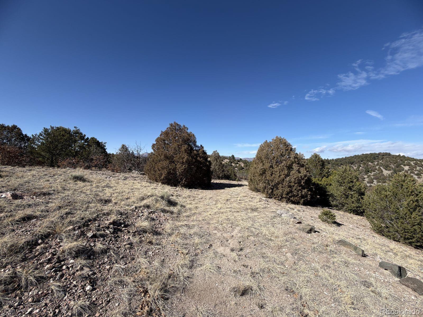 3412 Indian Wells Road Cotopaxi CO 81223