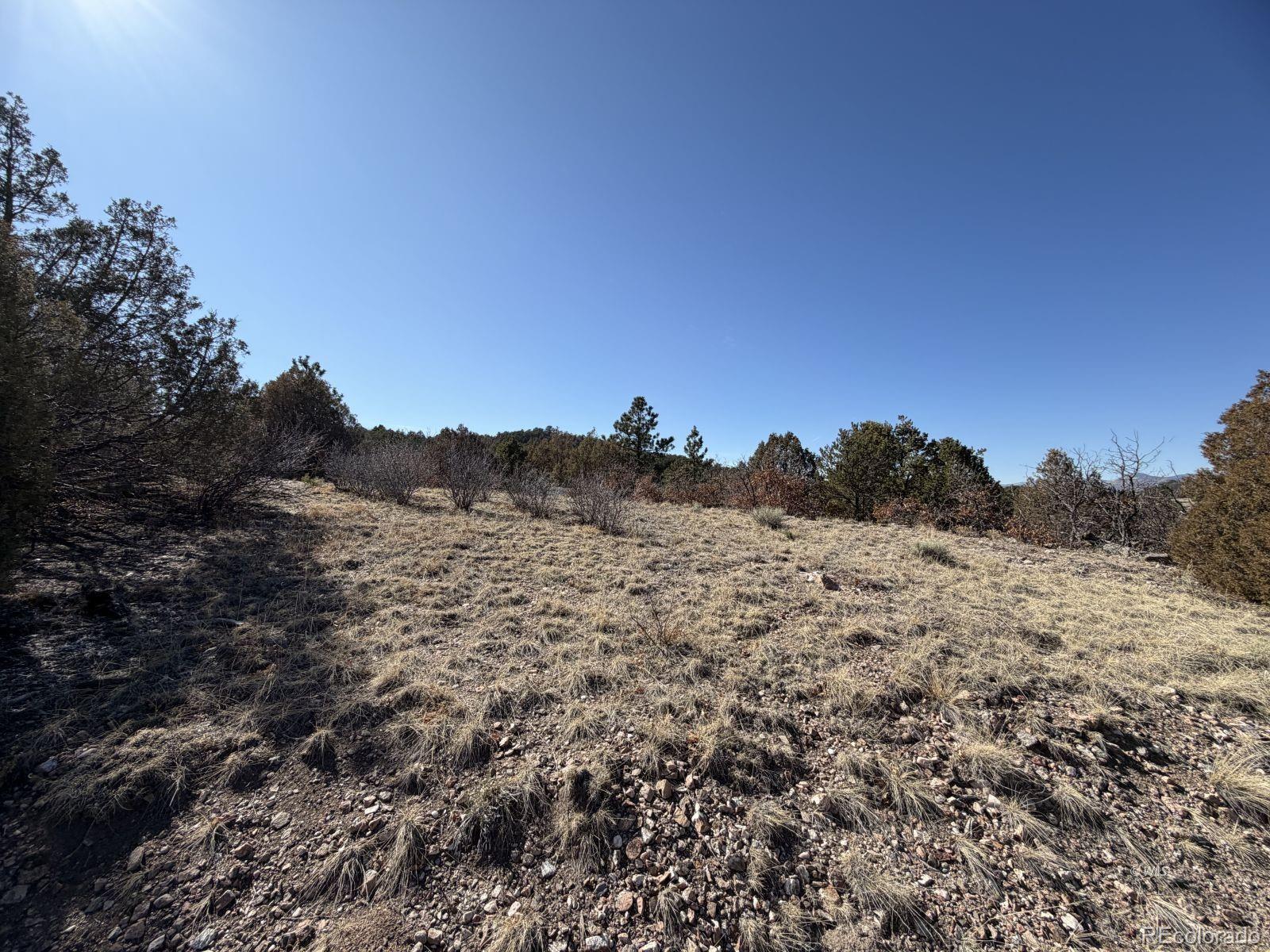 3412 Indian Wells Road Cotopaxi CO 81223