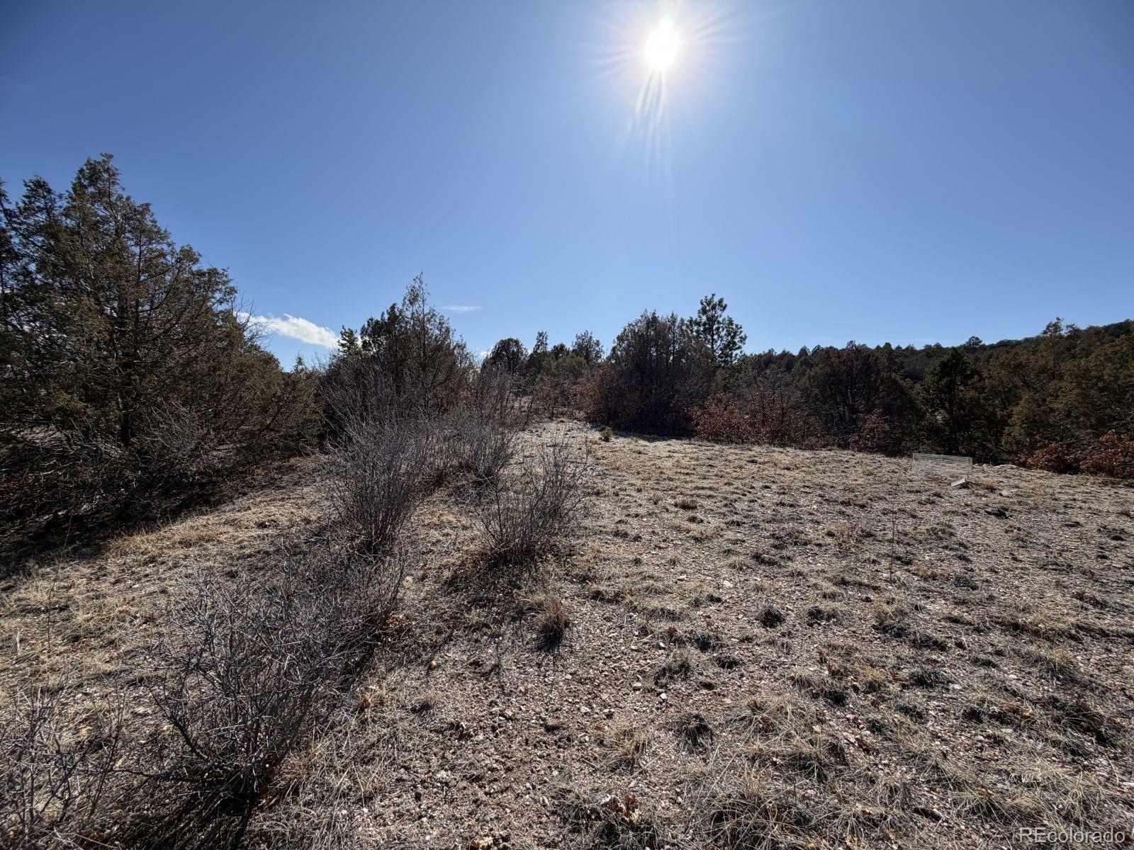 3412 Indian Wells Road Cotopaxi CO 81223