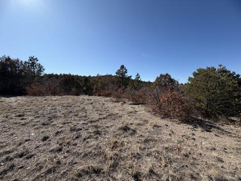 3412 Indian Wells Road Cotopaxi CO 81223