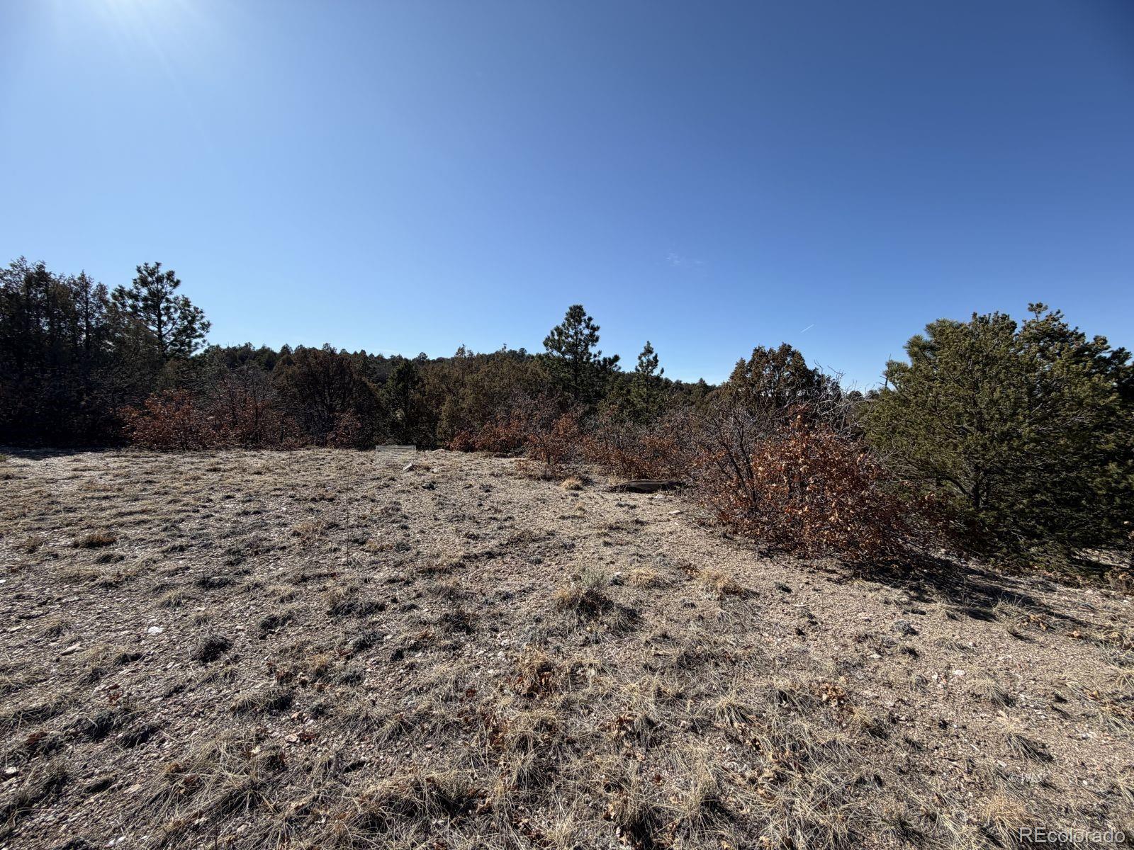 3412 Indian Wells Road Cotopaxi CO 81223