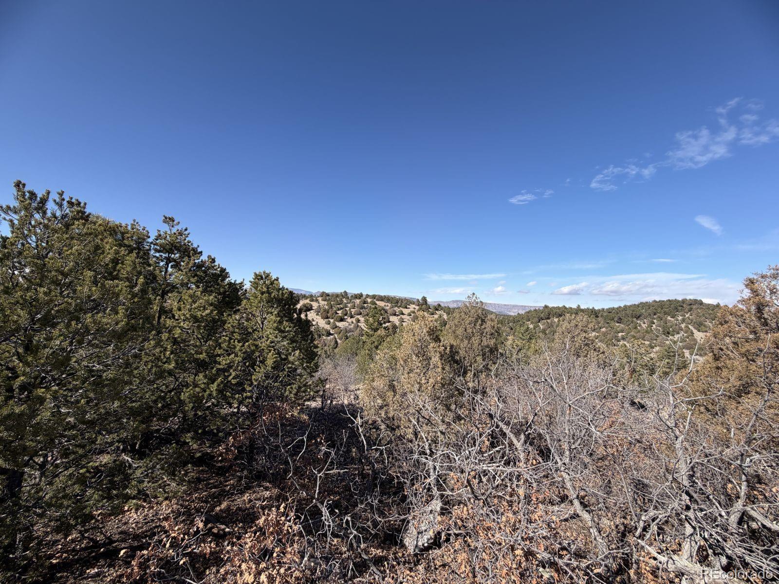 3412 Indian Wells Road Cotopaxi CO 81223
