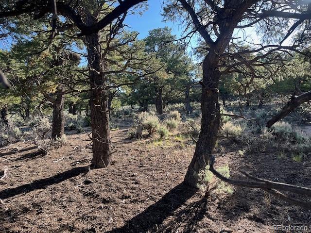 Lot 7138 Dunklau Road Fort Garland CO 81133