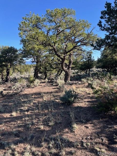 Lot 7138 Dunklau Road Fort Garland CO 81133