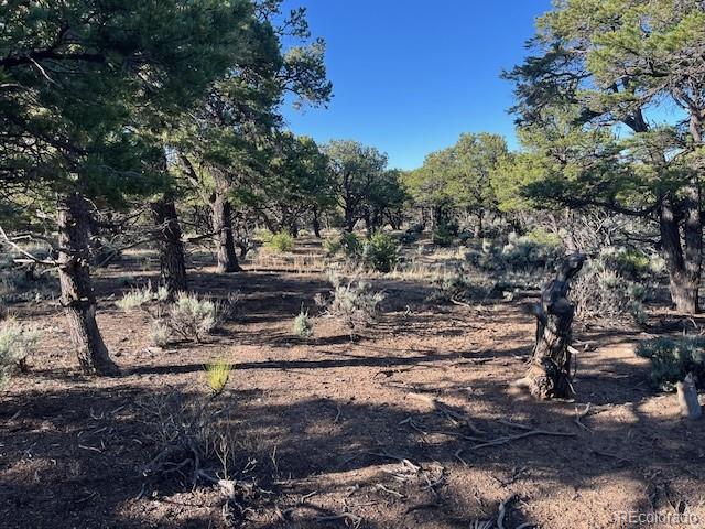 Lot 7138 Dunklau Road Fort Garland CO 81133