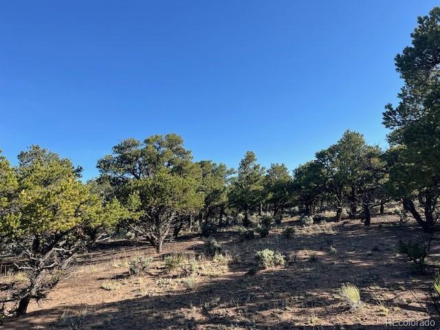 Lot 7138 Dunklau Road Fort Garland CO 81133