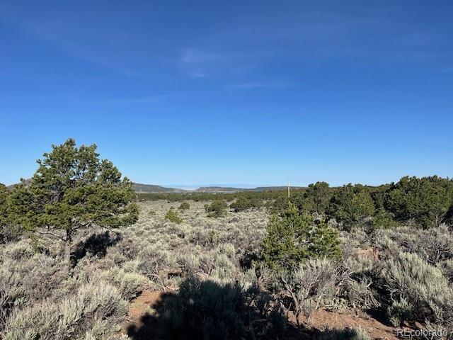 Lot 7138 Dunklau Road Fort Garland CO 81133