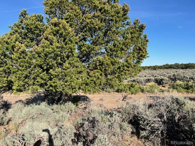 Lot 7138 Dunklau Road Fort Garland CO 81133
