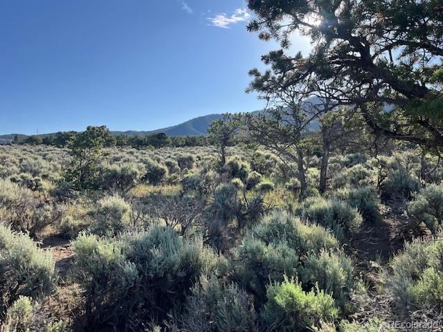Lot 7138 Dunklau Road Fort Garland CO 81133