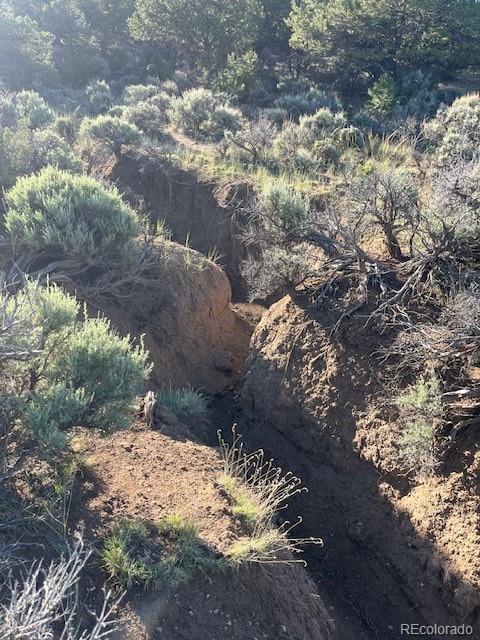 Lot 7138 Dunklau Road Fort Garland CO 81133