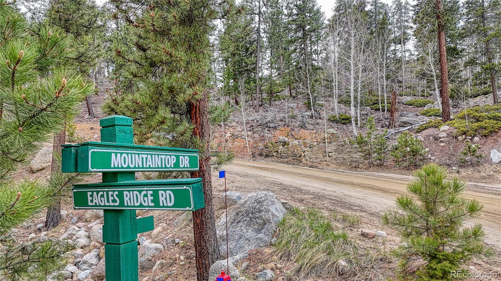 30176 Mountaintop Drive Buena Vista CO 81211