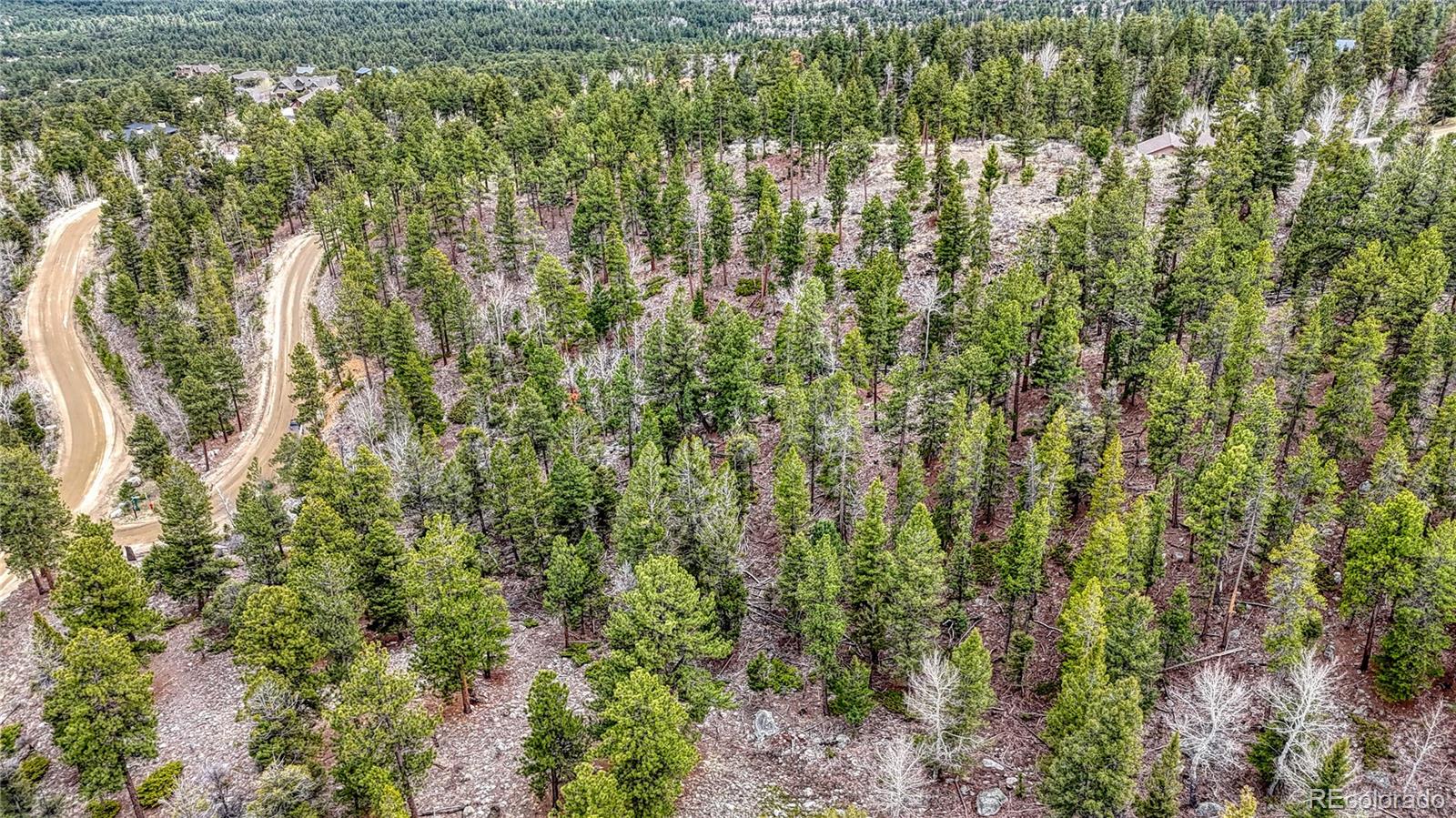 30176 Mountaintop Drive Buena Vista CO 81211