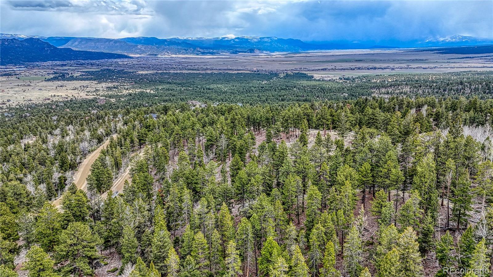 30176 Mountaintop Drive Buena Vista CO 81211