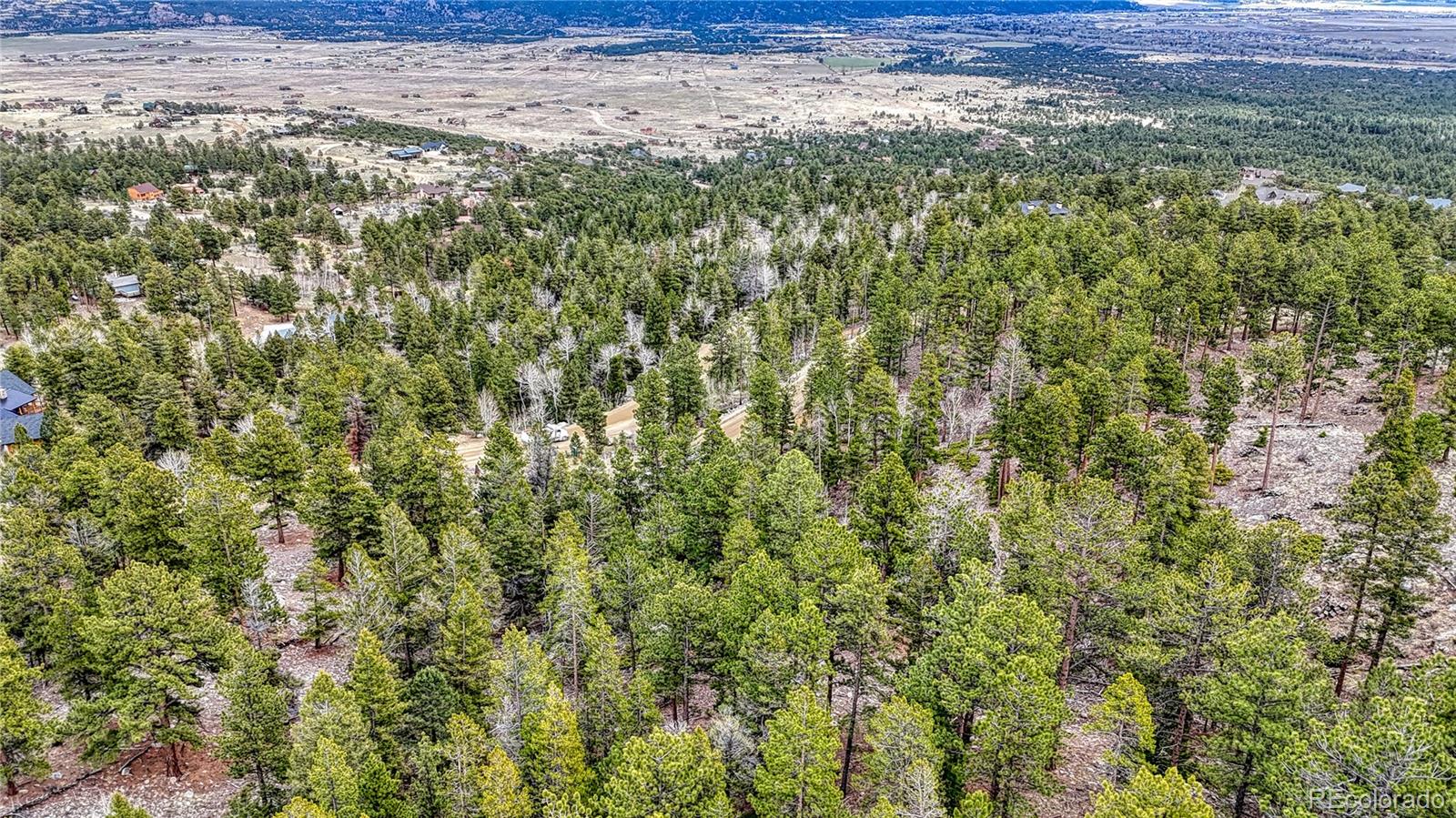 30176 Mountaintop Drive Buena Vista CO 81211