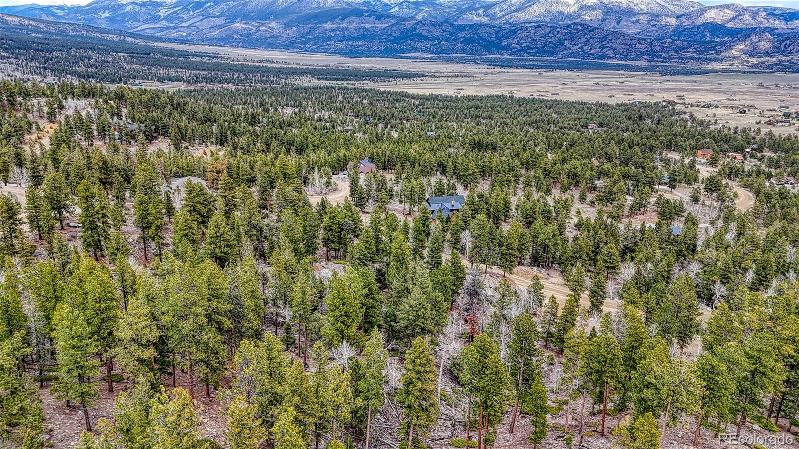 30176 Mountaintop Drive Buena Vista CO 81211