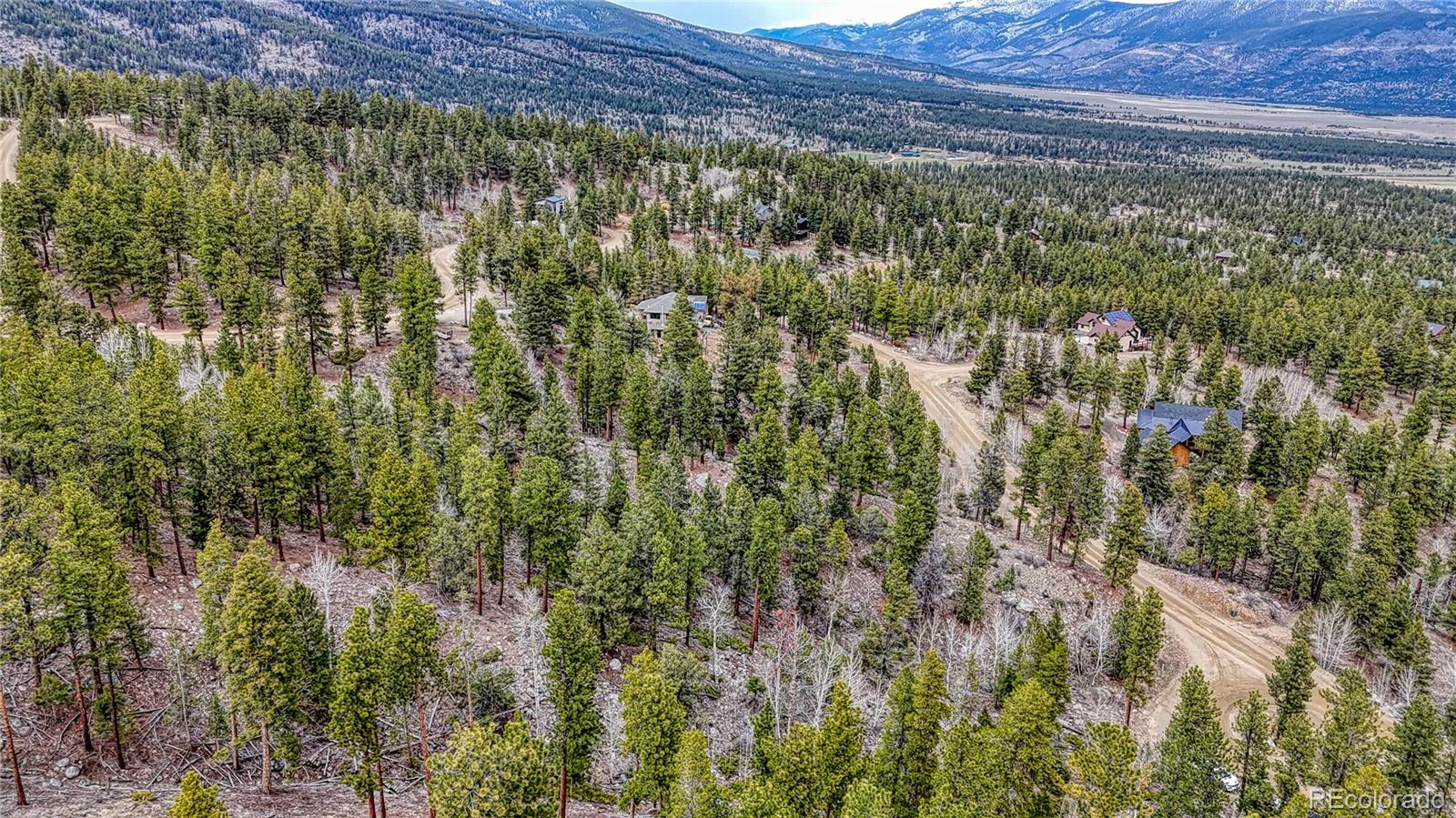 30176 Mountaintop Drive Buena Vista CO 81211