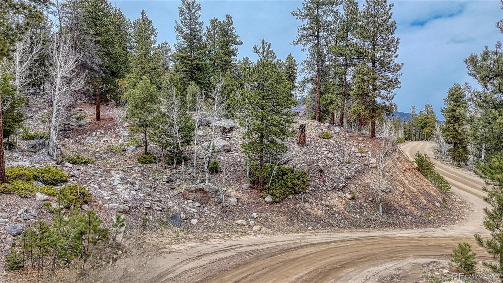 30176 Mountaintop Drive Buena Vista CO 81211
