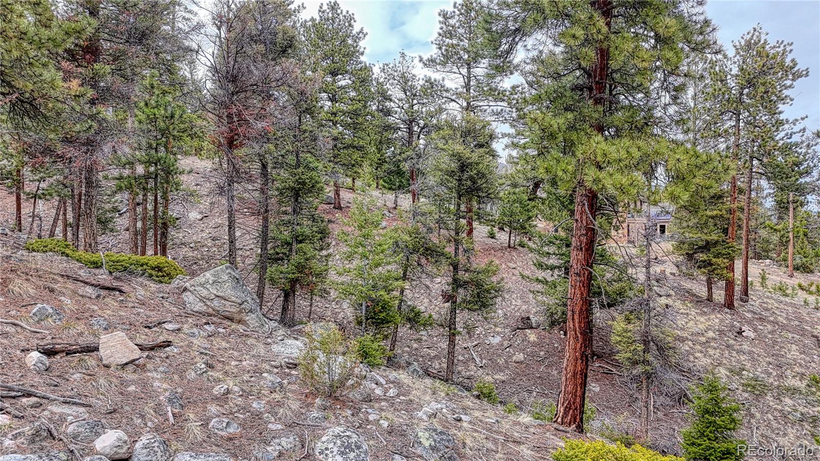30176 Mountaintop Drive Buena Vista CO 81211