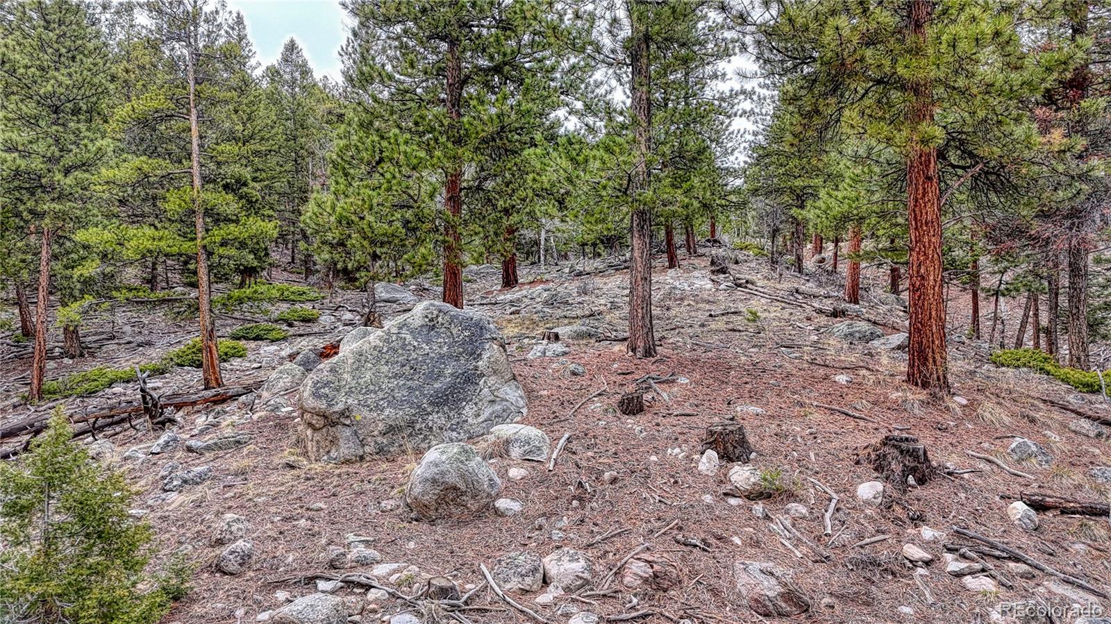 30176 Mountaintop Drive Buena Vista CO 81211