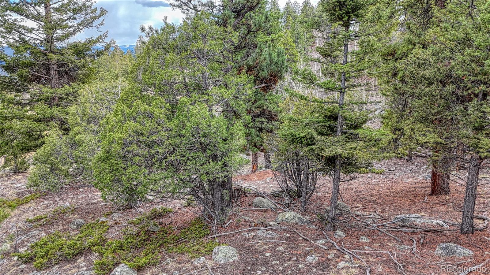 30176 Mountaintop Drive Buena Vista CO 81211