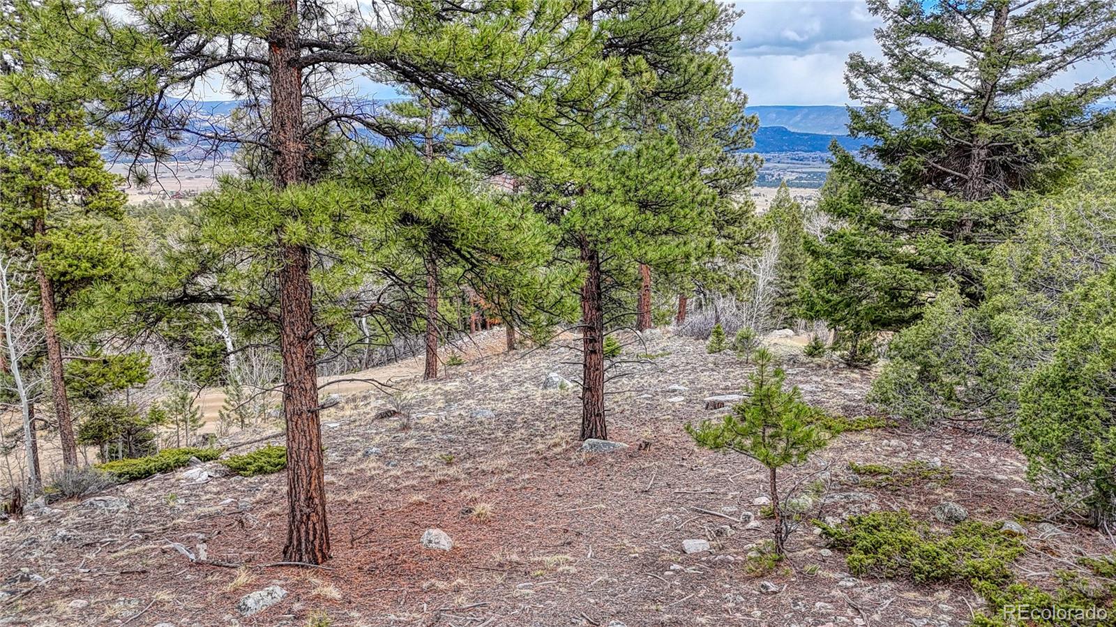 30176 Mountaintop Drive Buena Vista CO 81211