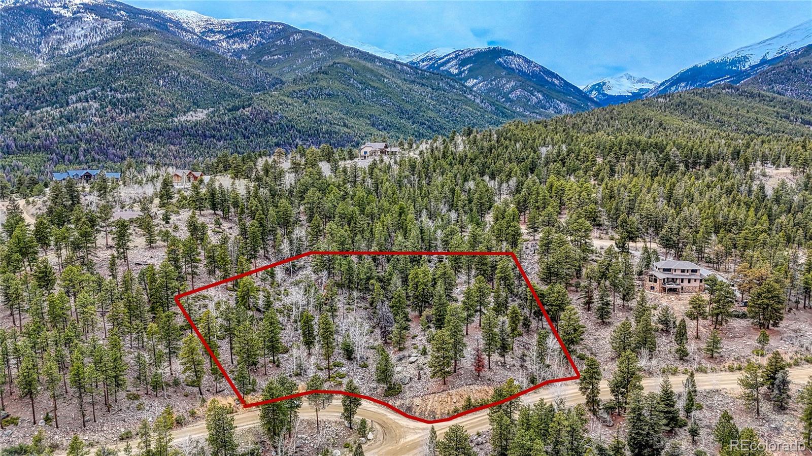 30176 Mountaintop Drive Buena Vista CO 81211