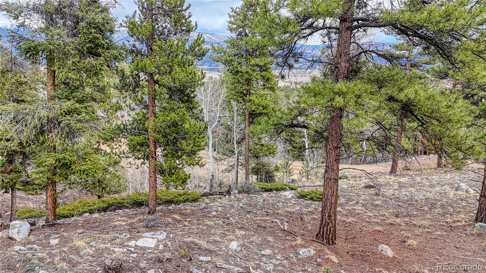 30176 Mountaintop Drive Buena Vista CO 81211