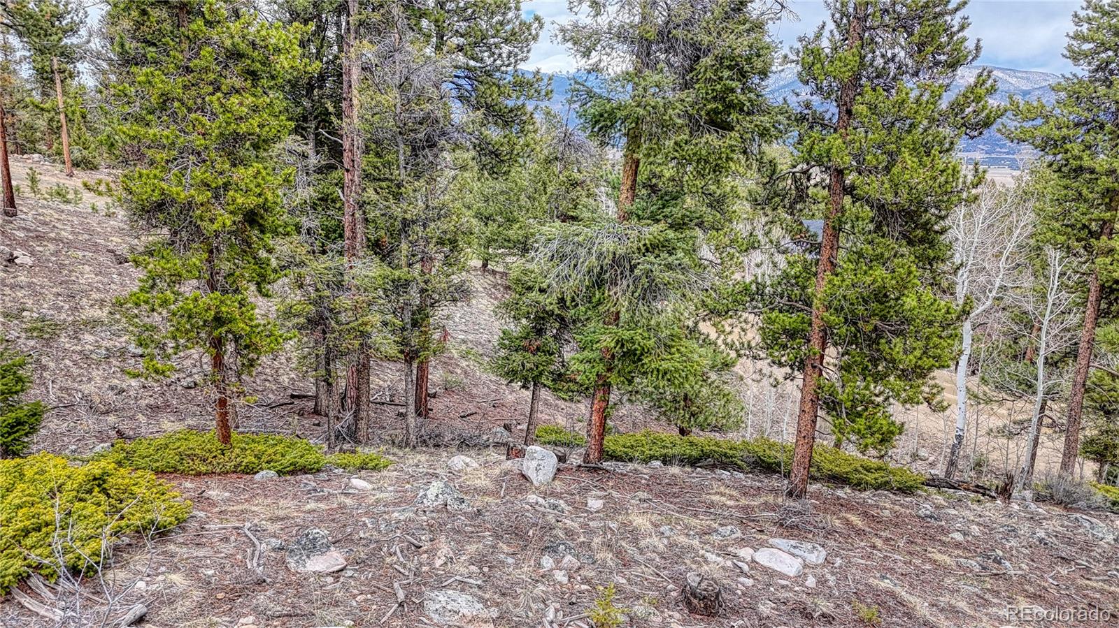 30176 Mountaintop Drive Buena Vista CO 81211