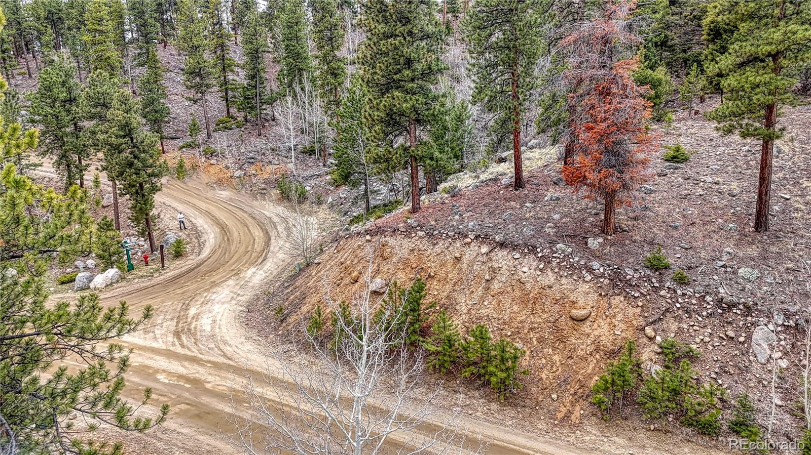 30176 Mountaintop Drive Buena Vista CO 81211