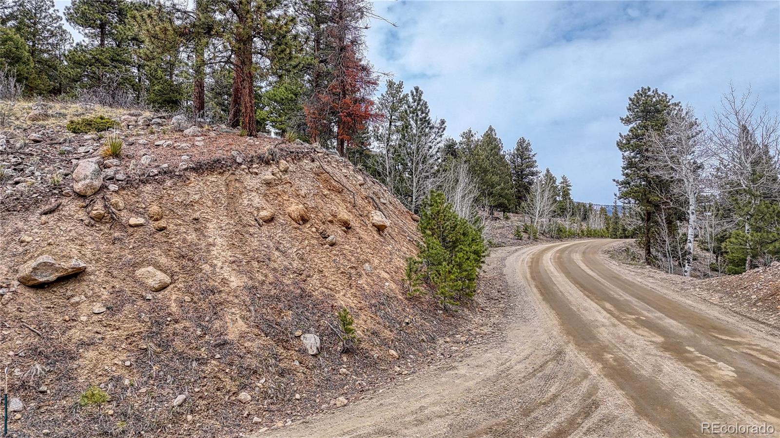30176 Mountaintop Drive Buena Vista CO 81211