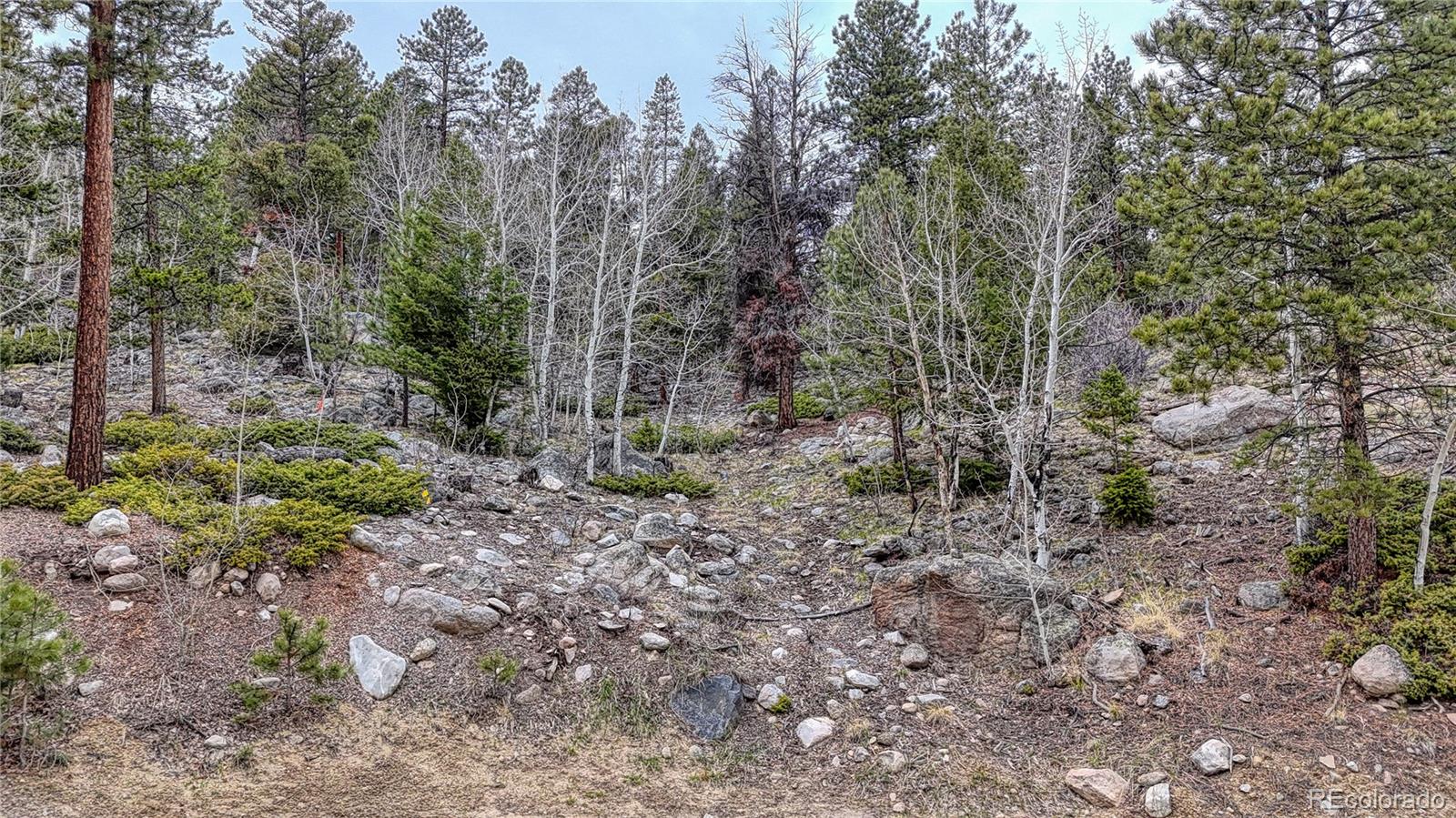 30176 Mountaintop Drive Buena Vista CO 81211