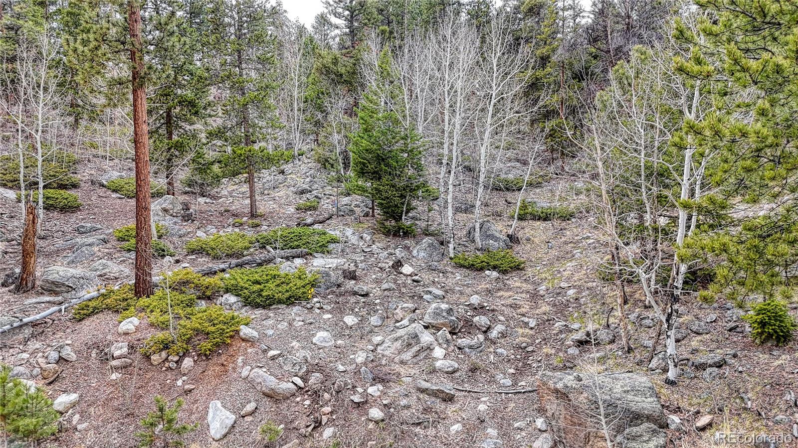 30176 Mountaintop Drive Buena Vista CO 81211