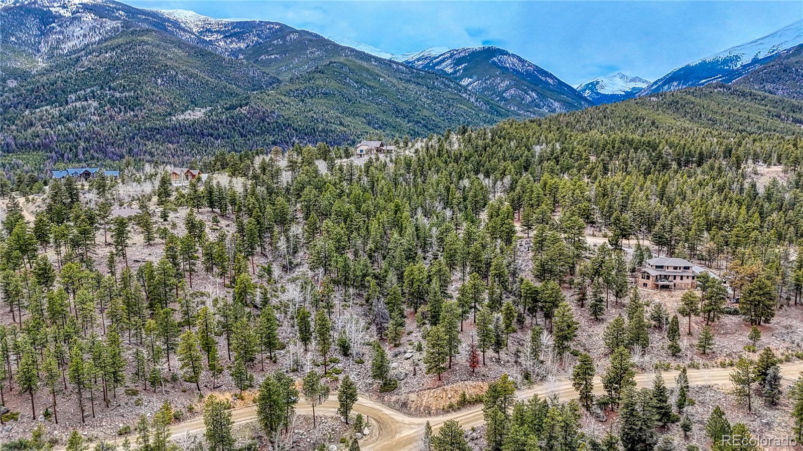 30176 Mountaintop Drive Buena Vista CO 81211
