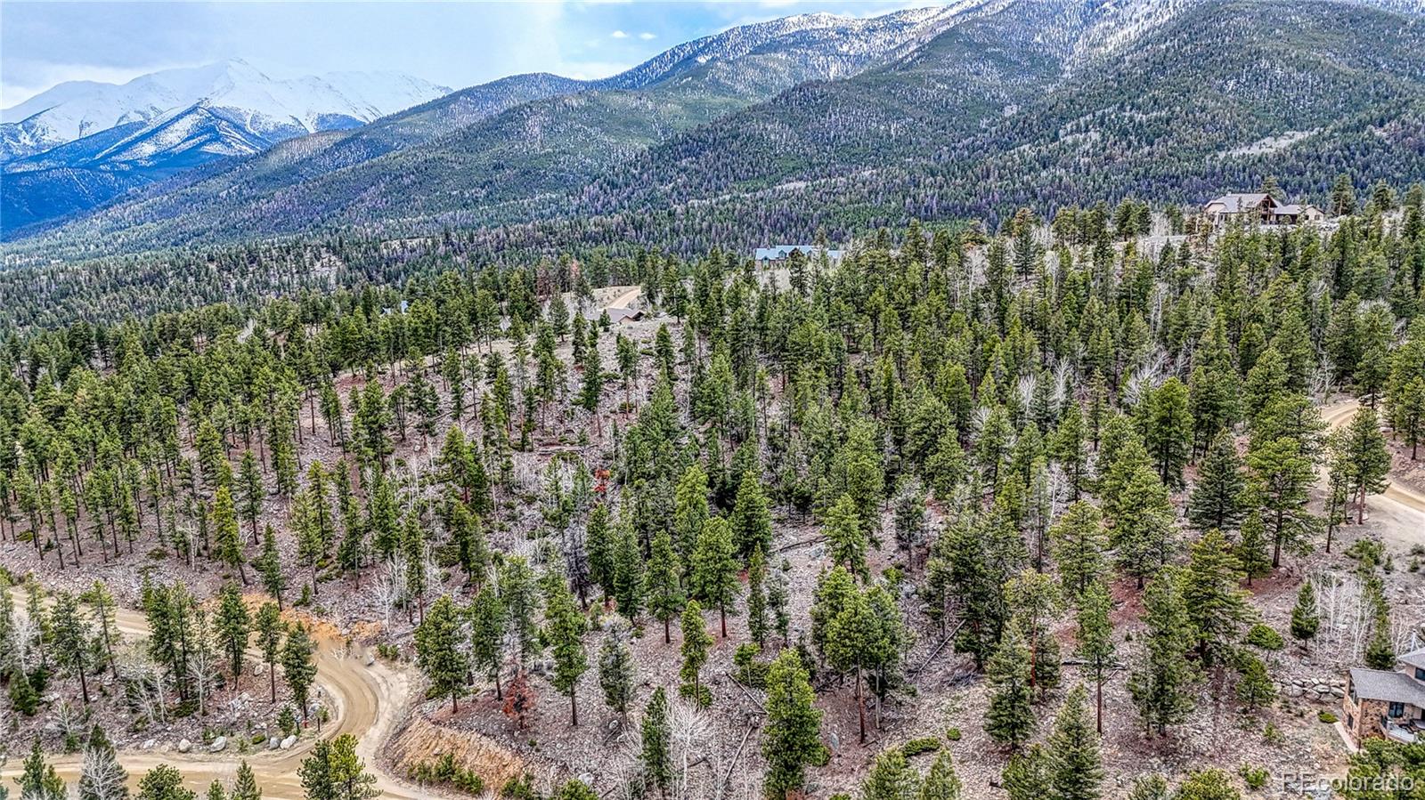 30176 Mountaintop Drive Buena Vista CO 81211
