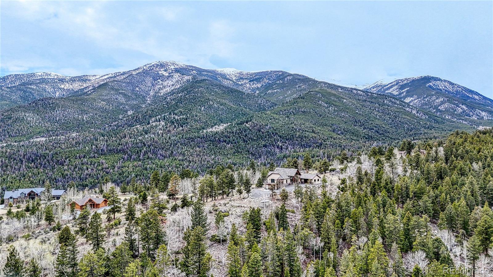 30176 Mountaintop Drive Buena Vista CO 81211