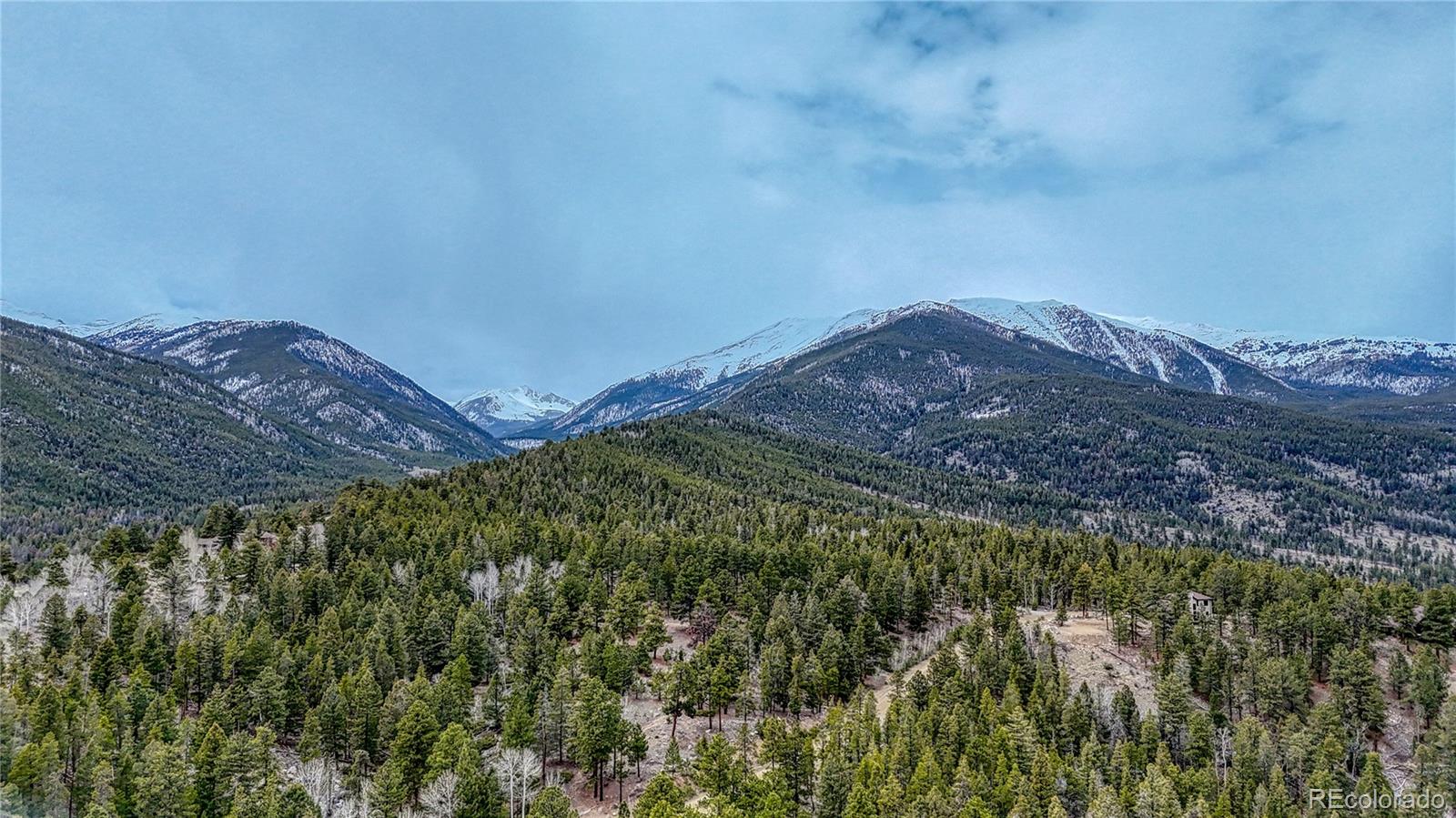 30176 Mountaintop Drive Buena Vista CO 81211