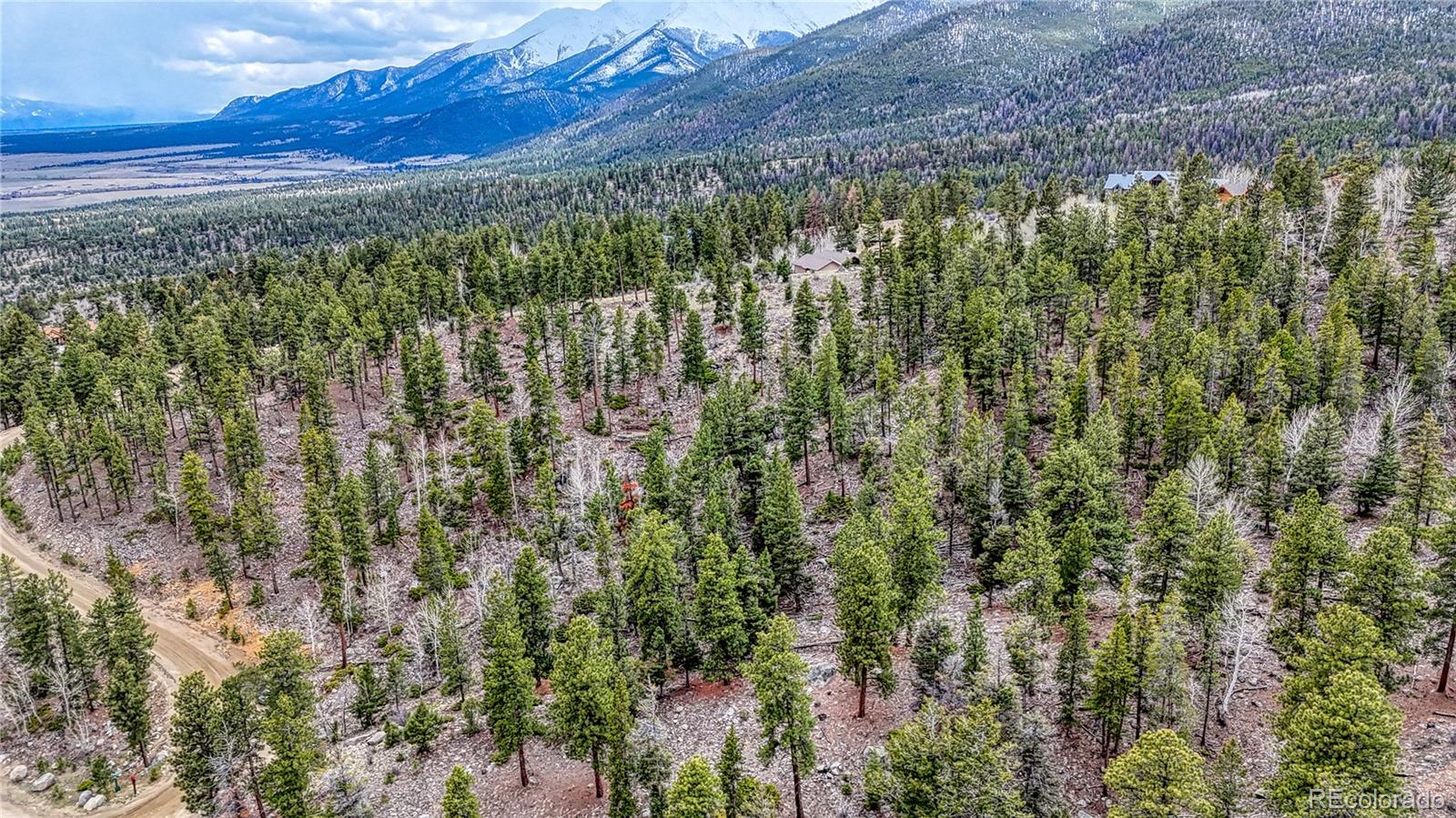 30176 Mountaintop Drive Buena Vista CO 81211