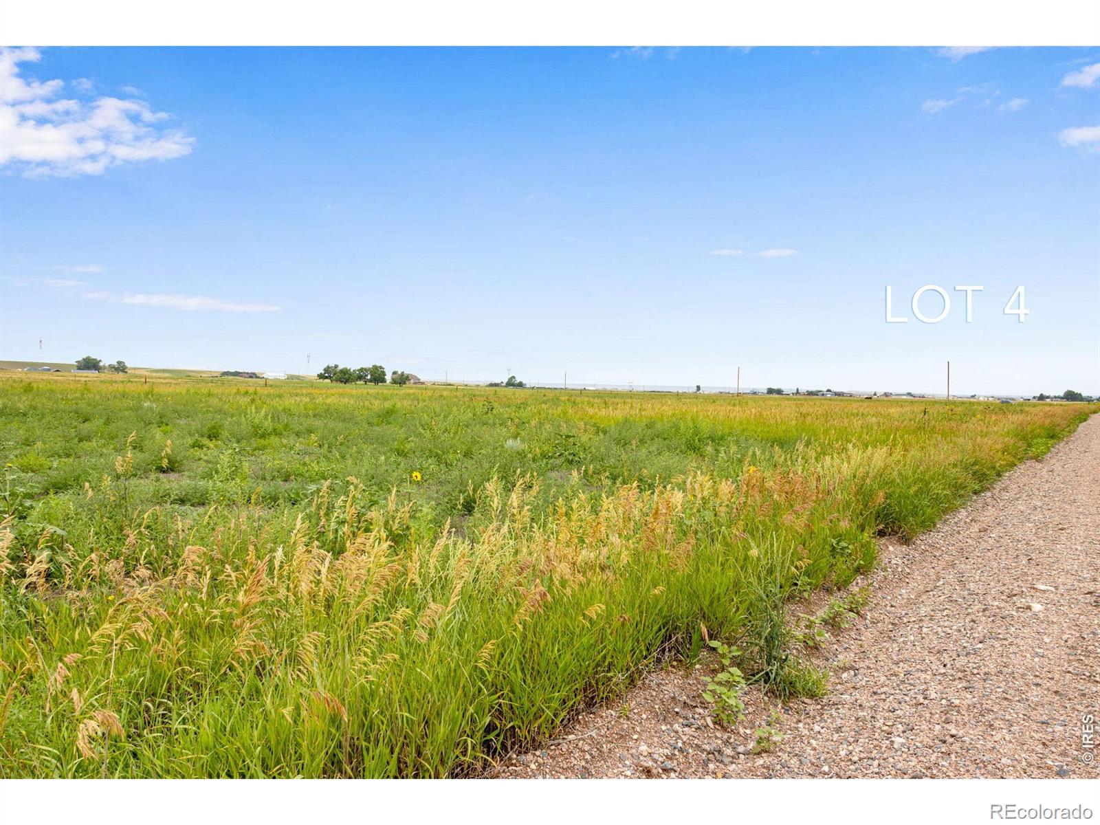 4 Tbd County Road 21 Carr CO 80612