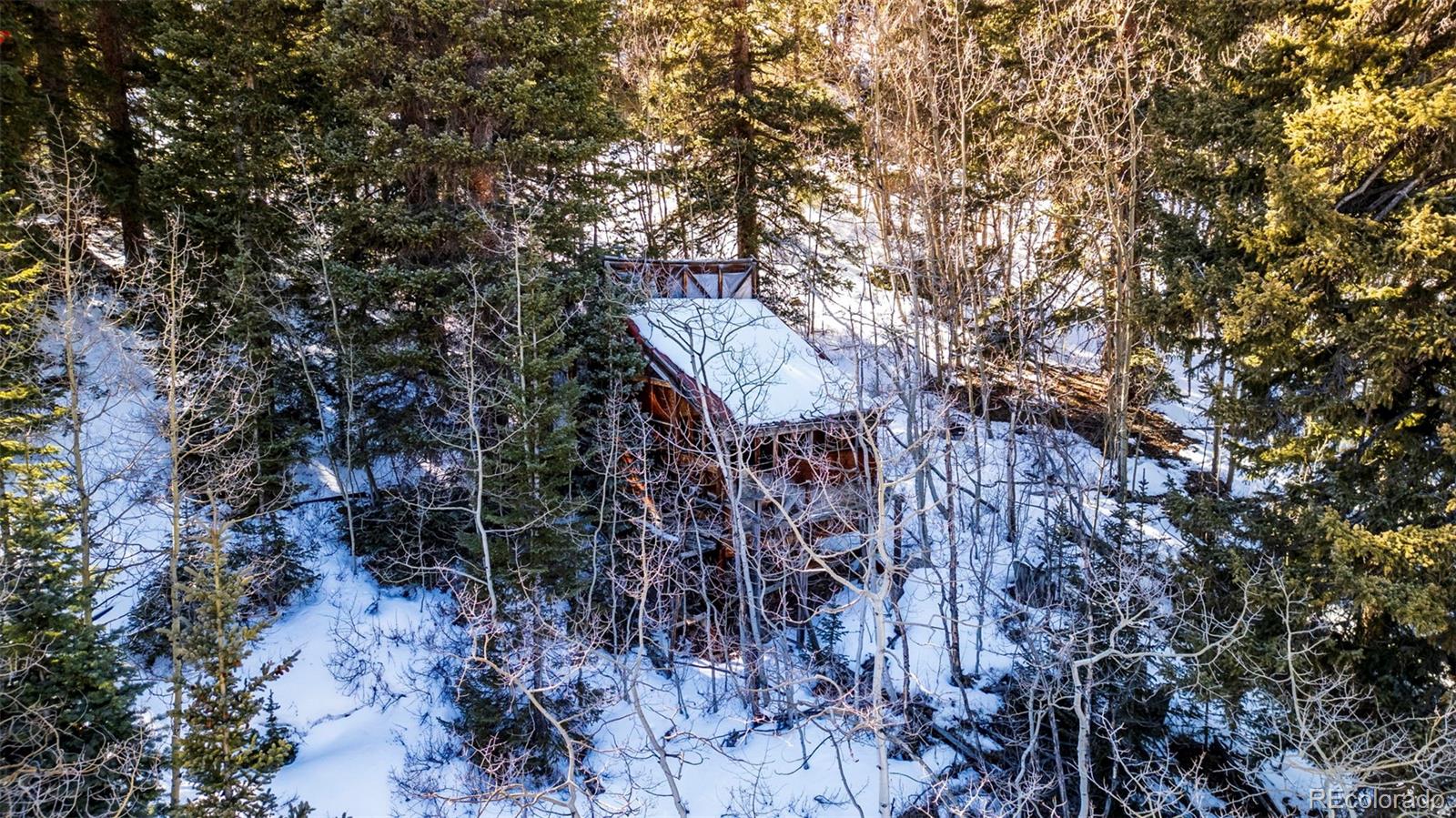 944 Roberts Road Alma CO 80420