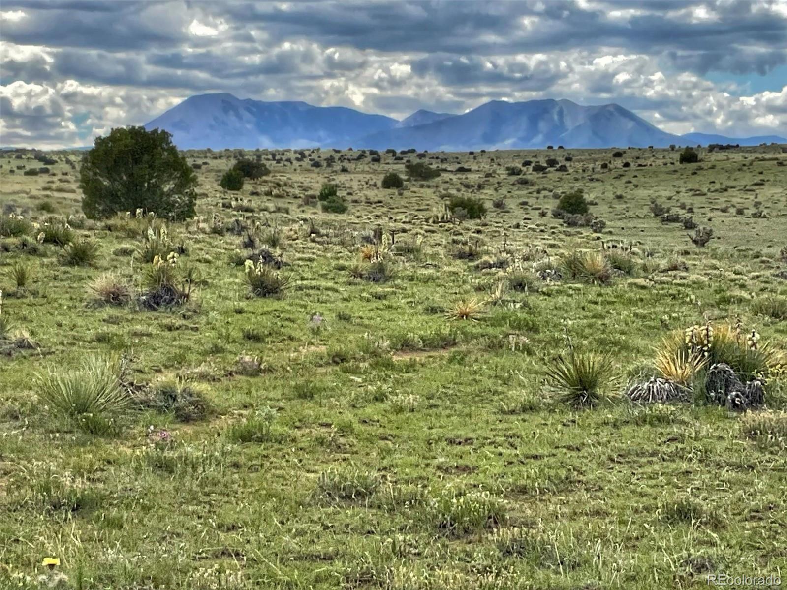 Rio Cucharas Phase 1 Walsenburg CO 81089