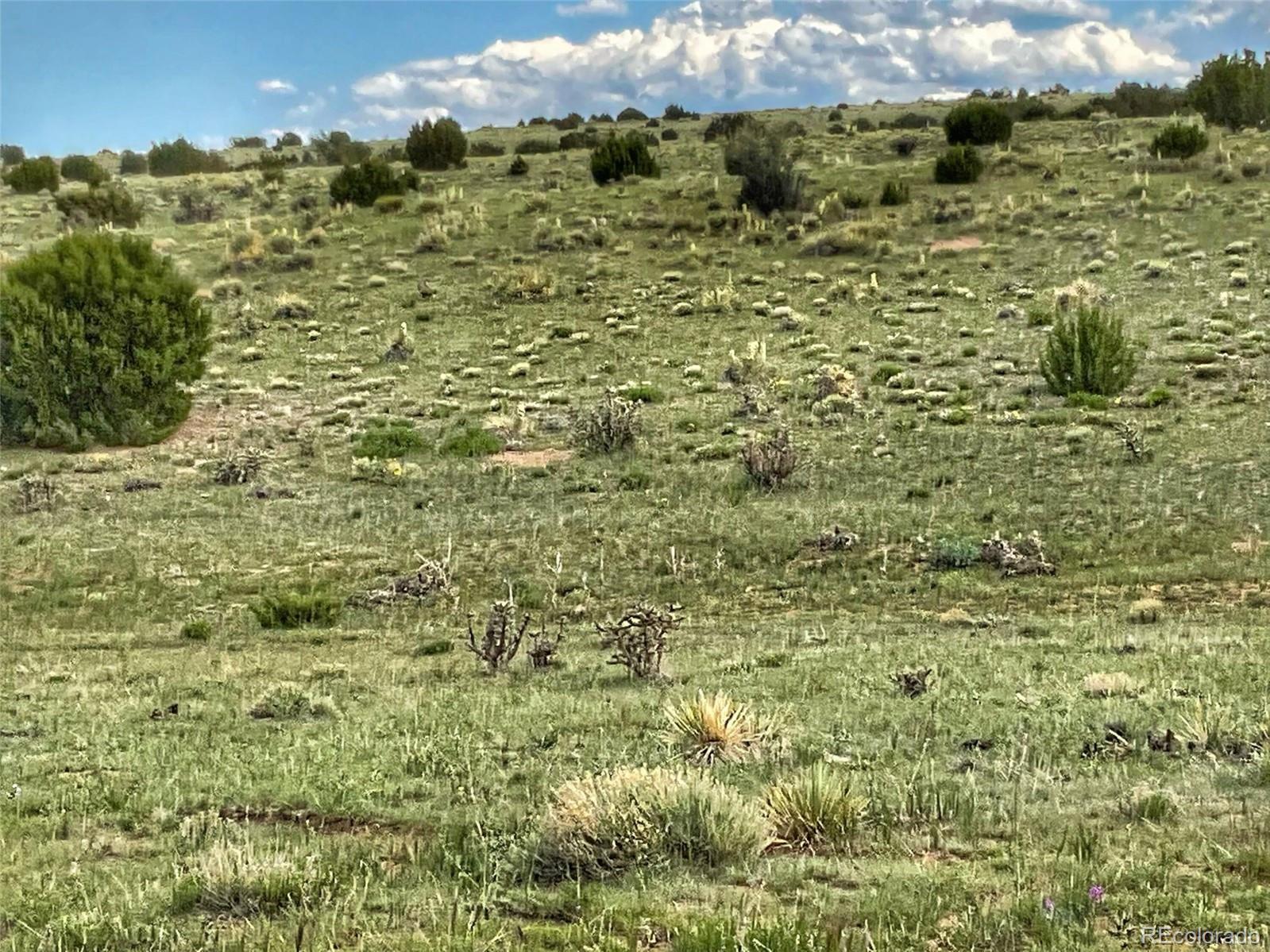 Rio Cucharas Phase 1 Walsenburg CO 81089