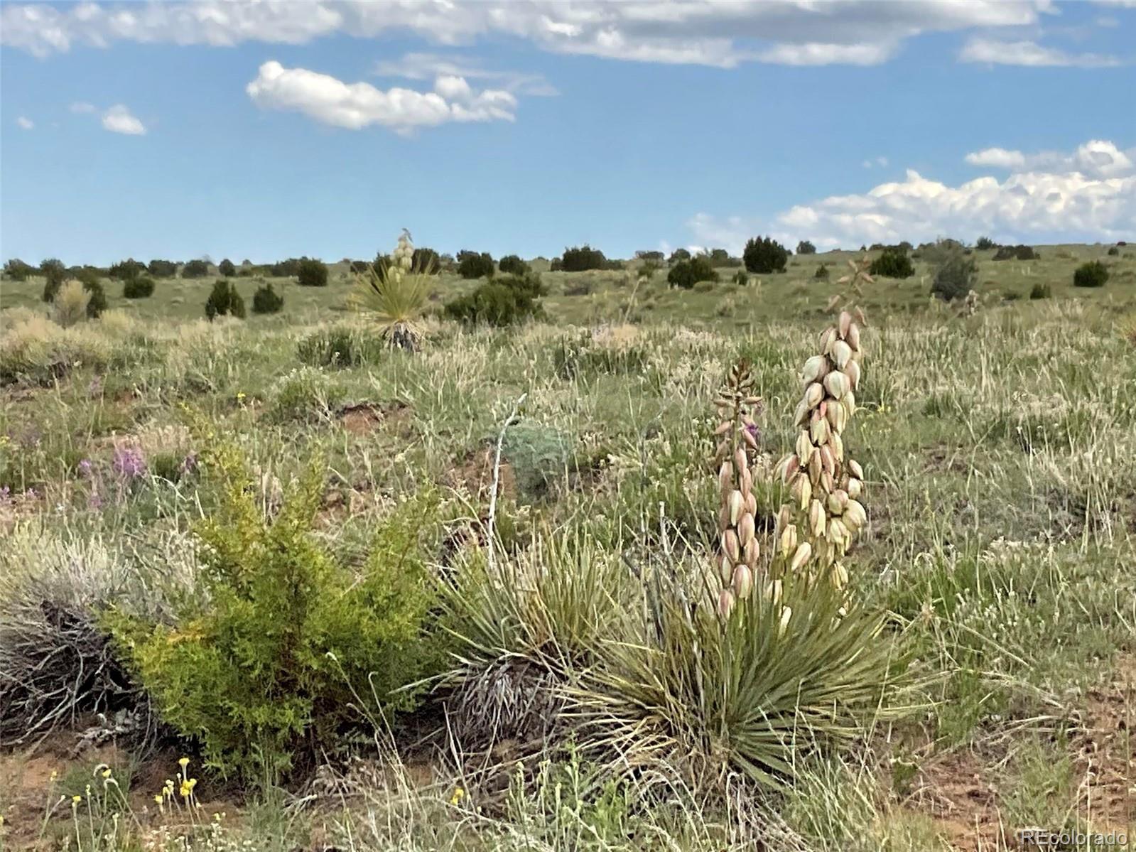 Rio Cucharas Phase 1 Walsenburg CO 81089