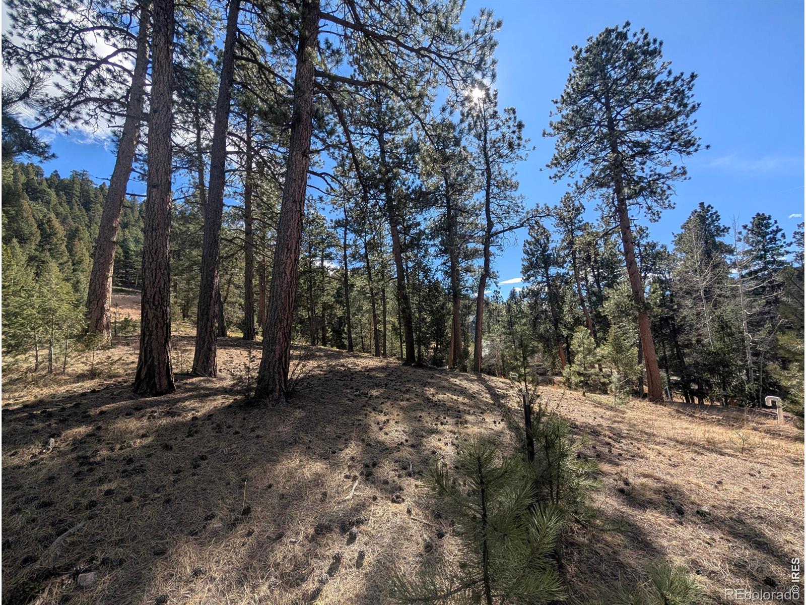 7000 - 7022 Blue Creek Road Evergreen CO 80439
