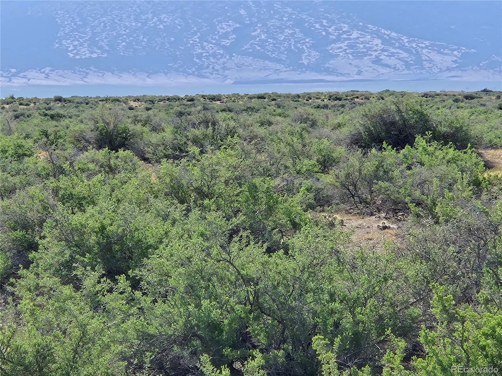 Lot 2 2nd Avenue Mosca CO 81146
