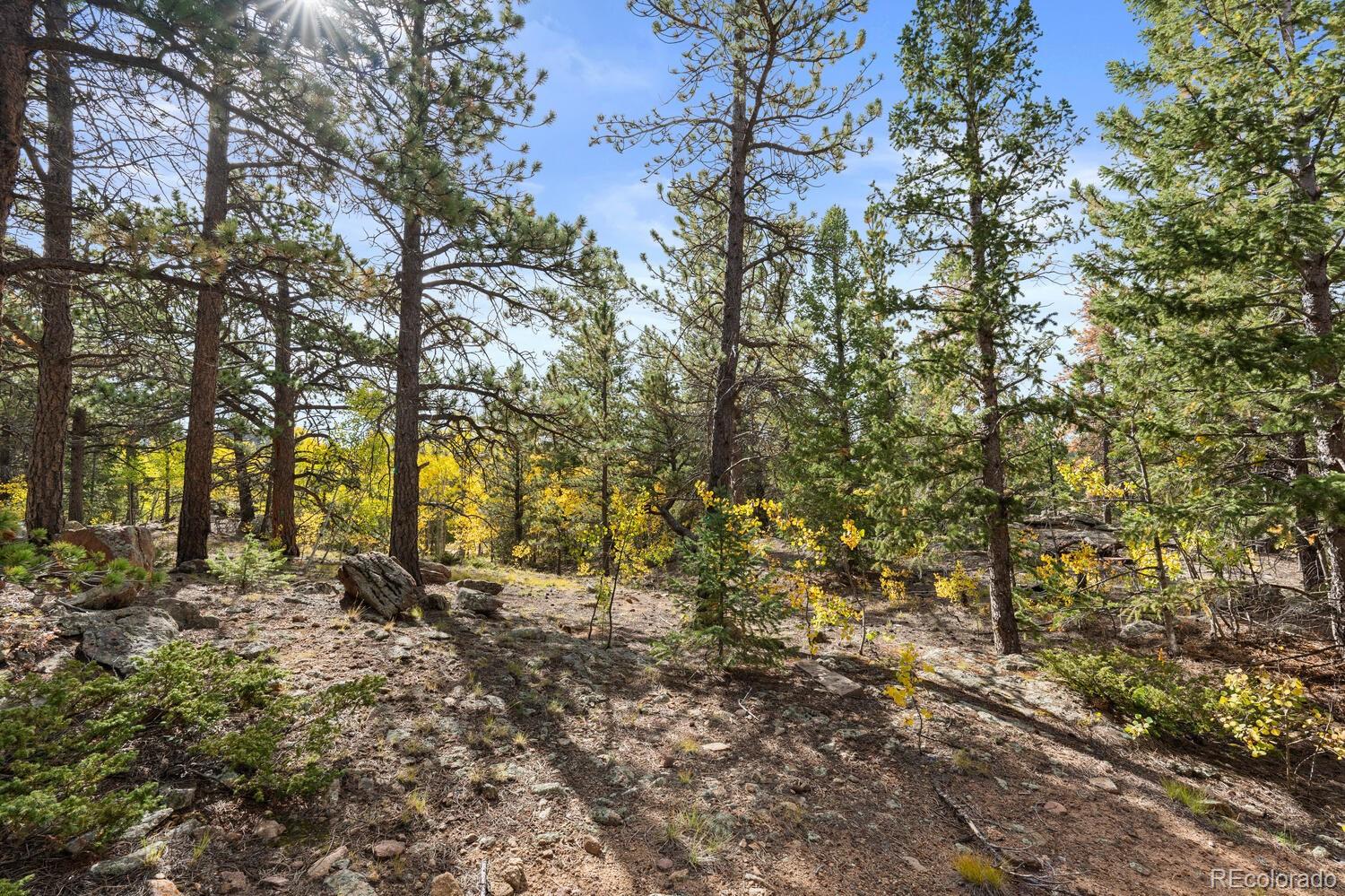 Pinon Black Hawk CO 80422