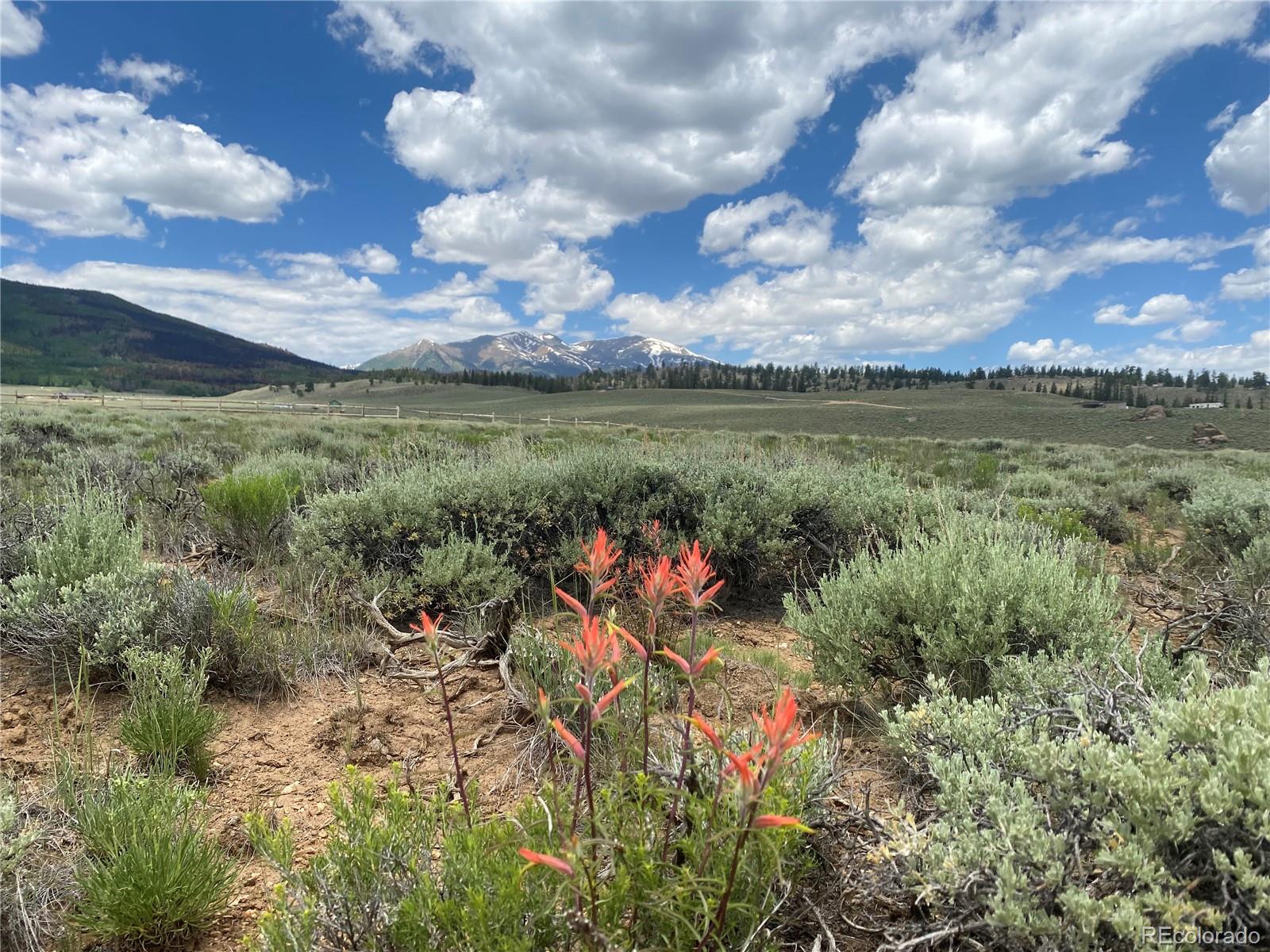 Decagon Loop, Parcel 12 Twin Lakes CO 81251