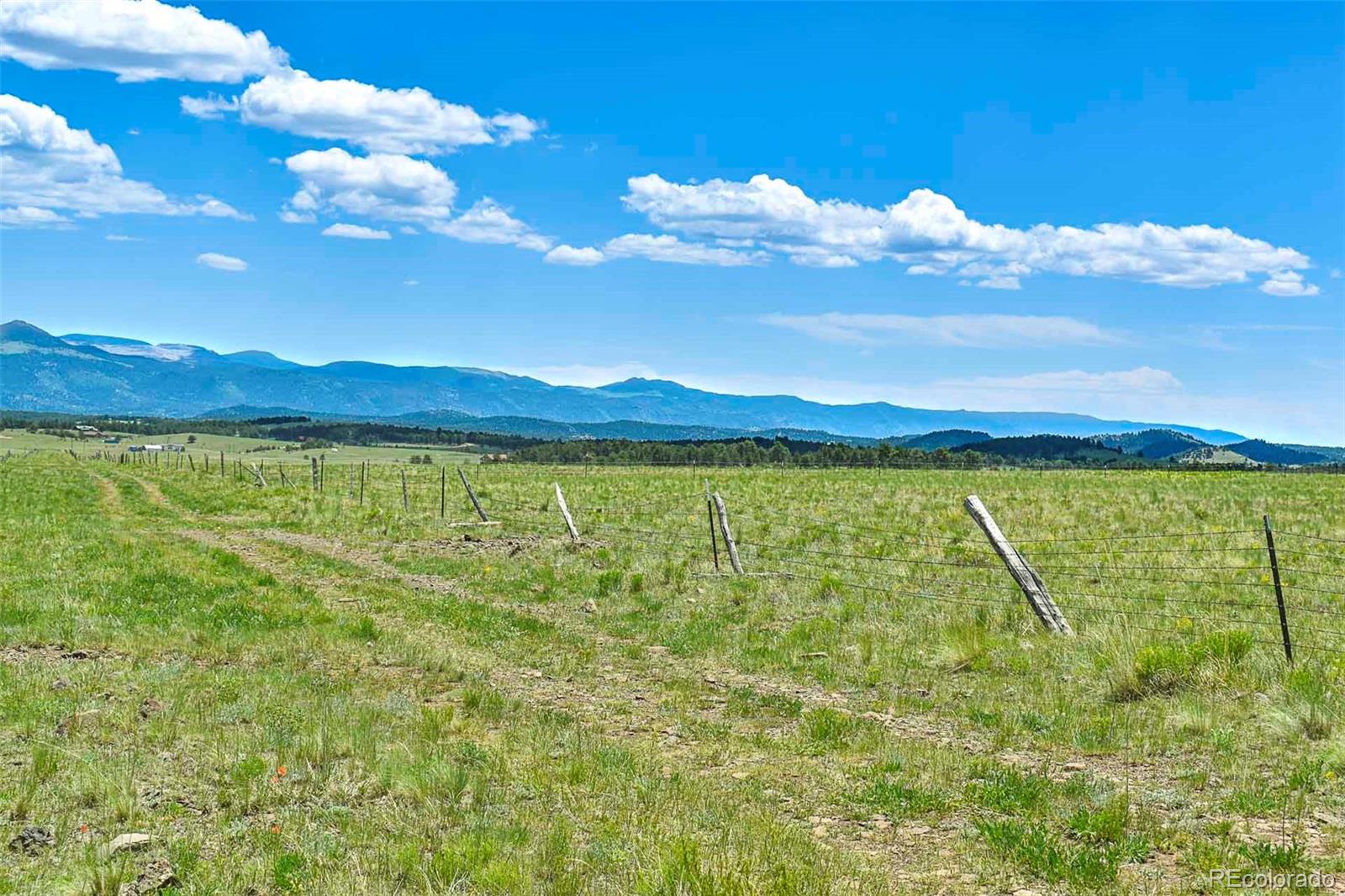 County Road 63 Guffey CO 80820