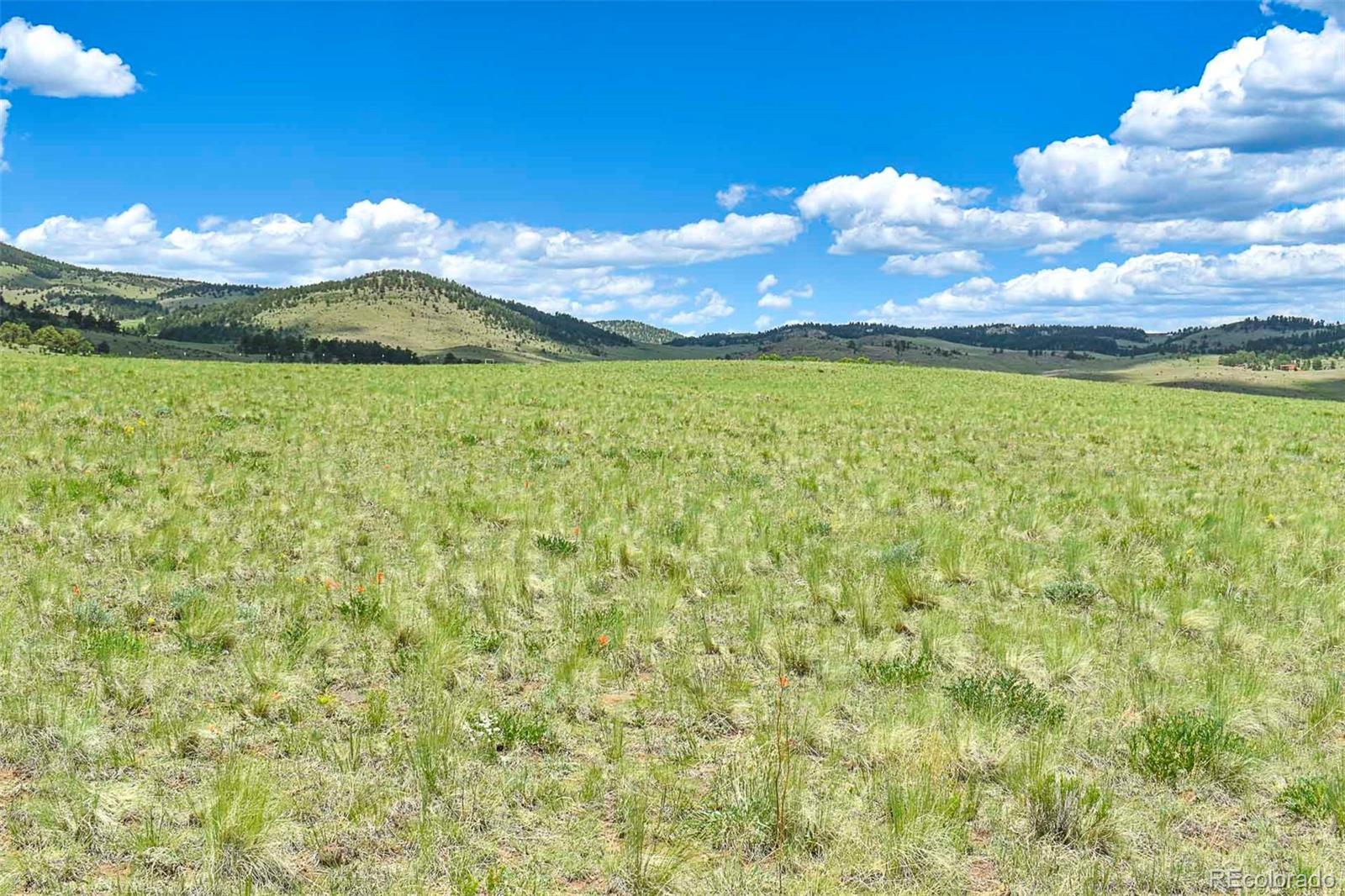 County Road 63 Guffey CO 80820
